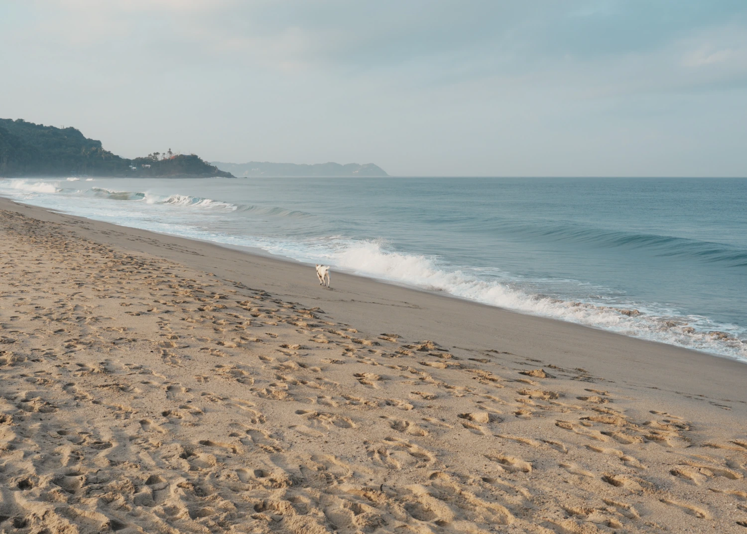 San Pancho — fotografía 01